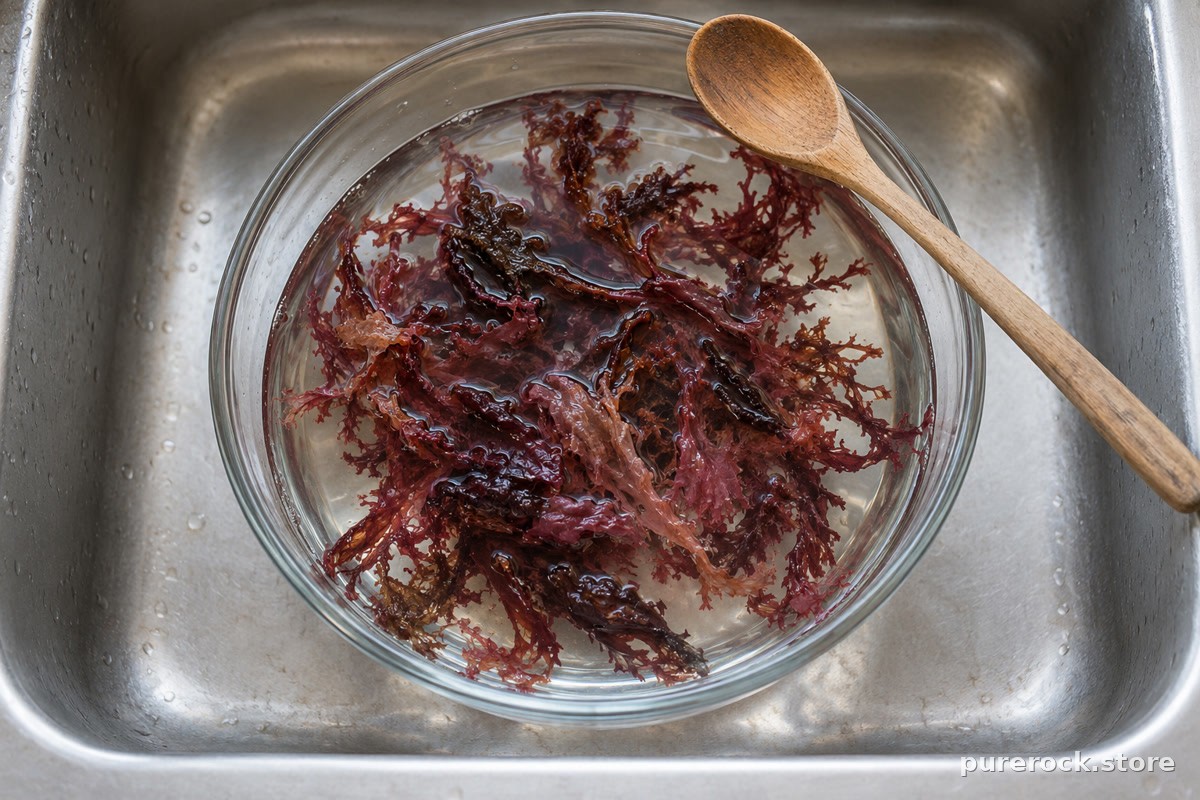 Dried red seaweed softening in a glass bowl of water in a kitchen sink, illustrating how seaweed absorbs what is in its water